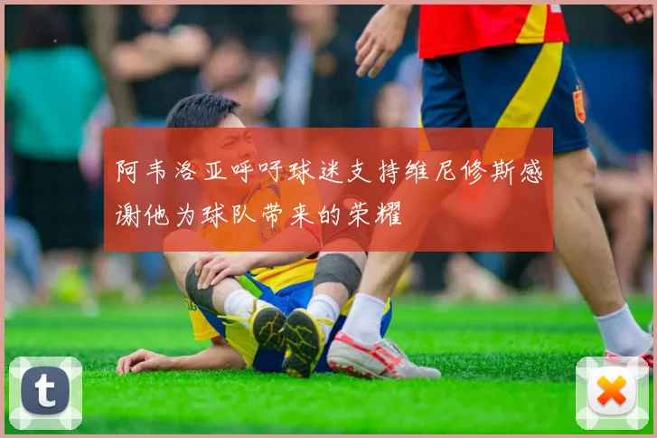 阿韦洛亚呼吁球迷支持维尼修斯感谢他为球队带来的荣耀