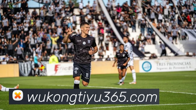 悟空体育平台生态图