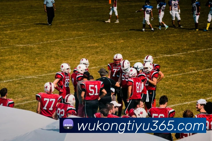 悟空体育APP 封面图