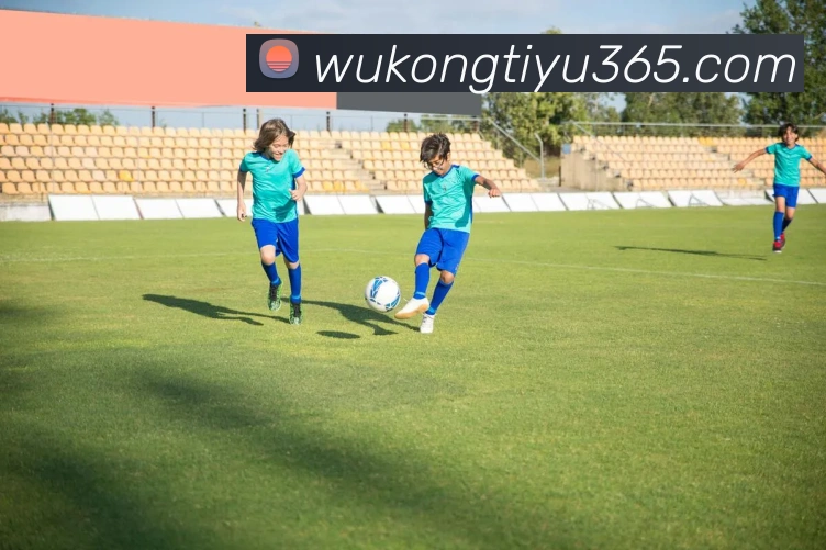 数据防护可视化